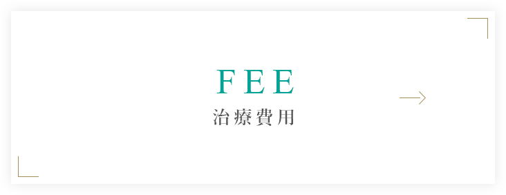 FEE 治療費用